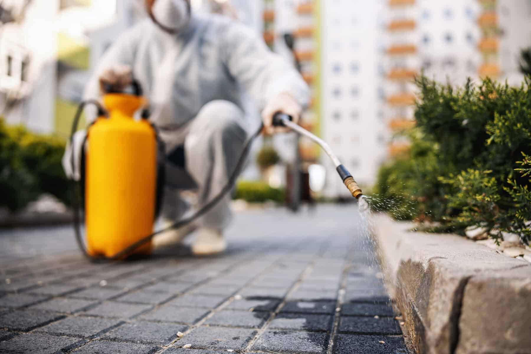 Técnico a aplicar tratamento de desinsetização em zona exterior